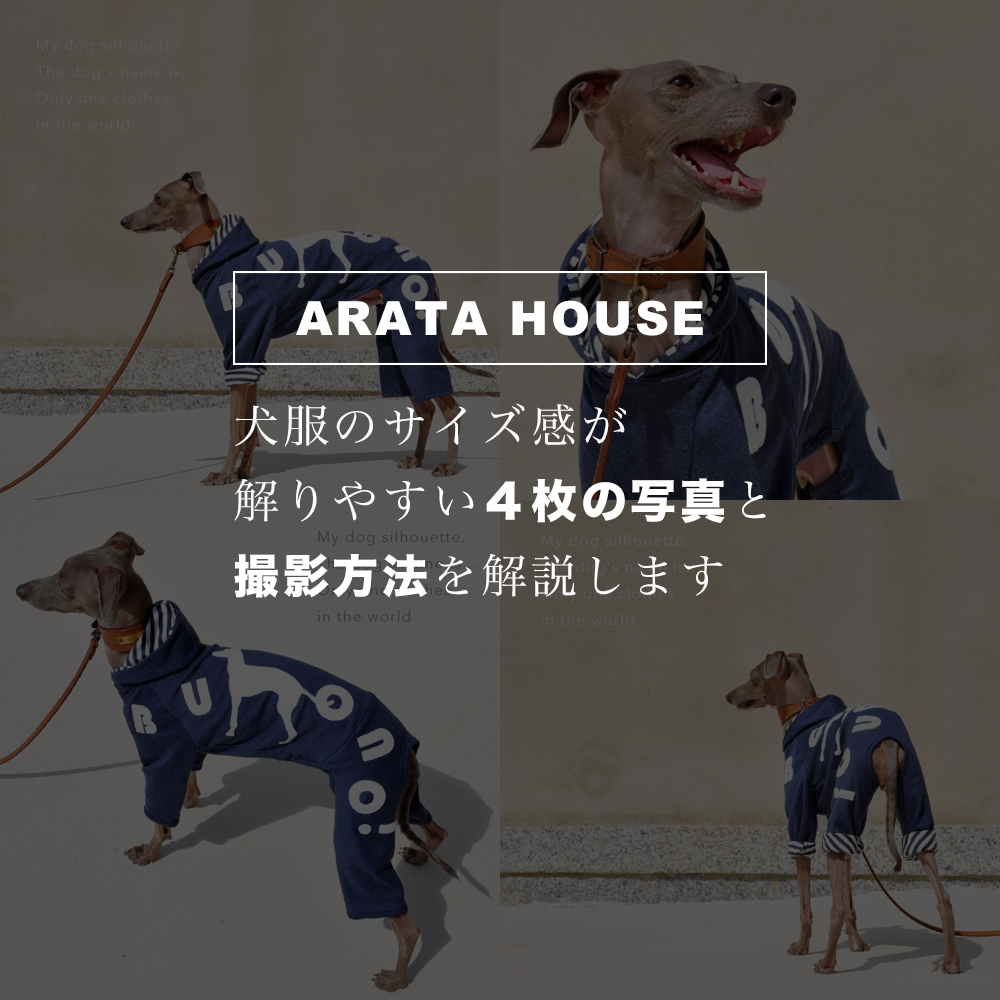 犬服のサイズ感が解りやすい「４枚の写真」と「撮影方法」を解説します