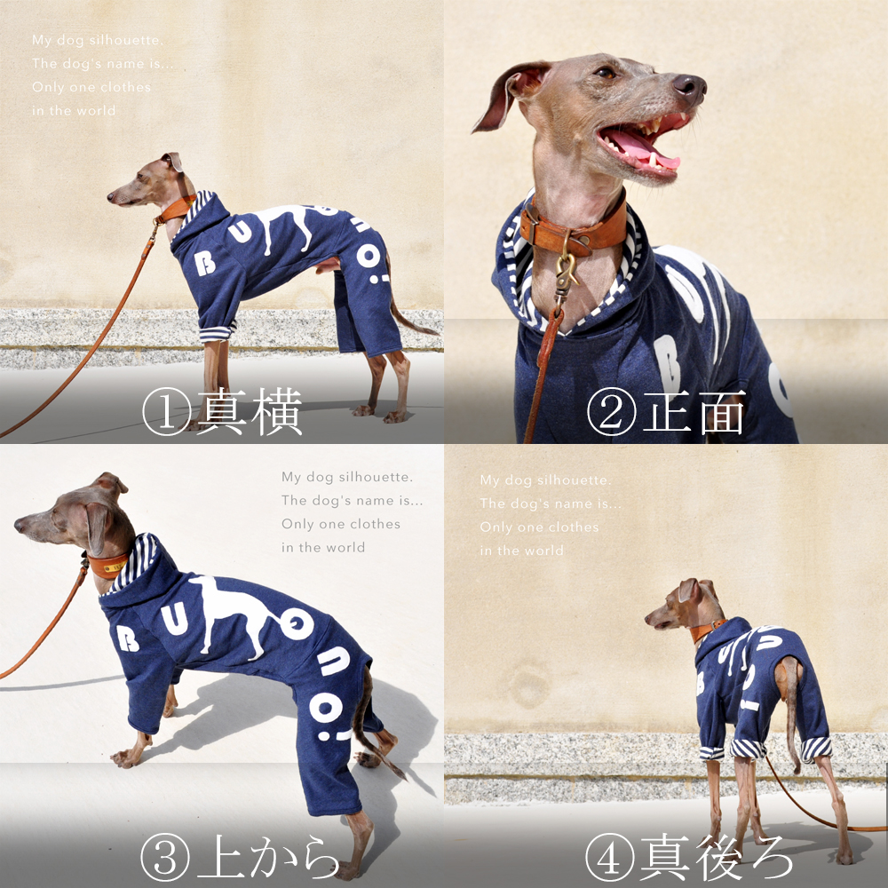 犬服のサイズ感が解りやすい「４枚の写真」と「撮影方法」を解説します