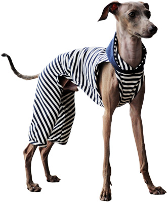 【ARATA HOUSEメルマガ Vol.67】繊細に、時には大胆に。生地の見つけ方・仕入れ方|2015/11/23発行(パスワードは毎週月曜日に届きます)