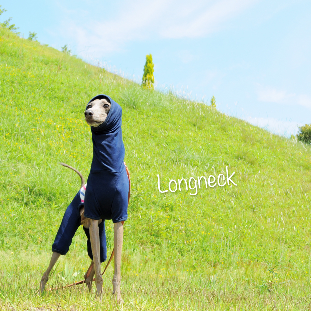 色々とお洋服の在庫を追加しました！