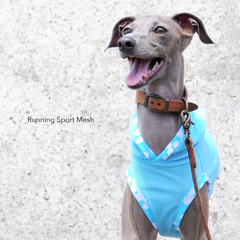 色々とお洋服の在庫を追加しました！