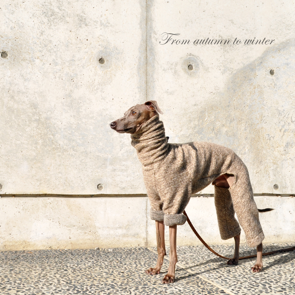 「新色デビュー」犬服｜エレガントなイタリア製ニットジャガード「繊細な感性をくすぐる、エルブ」