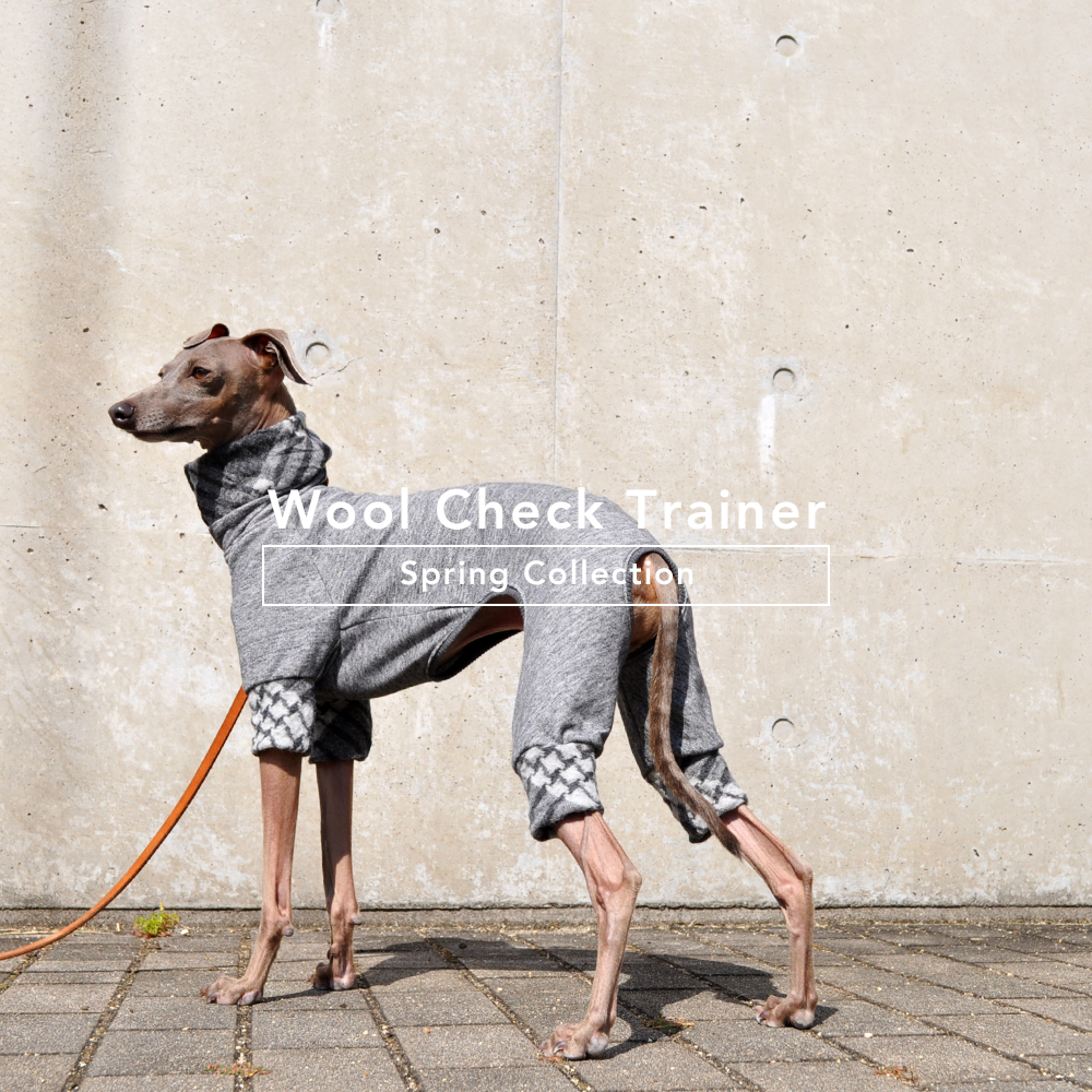 「柔らかな春の犬服」“くしゅくしゅ”ウールチェックトレーナー。シンプルなコーデが洒落上級者♡