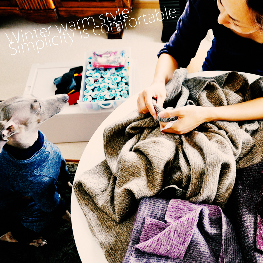 【ARATA HOUSEメルマガ Vol.68】考え、感じて生地を選んでいく。犬服の生地の仕入れ方｜2015/11/30発行