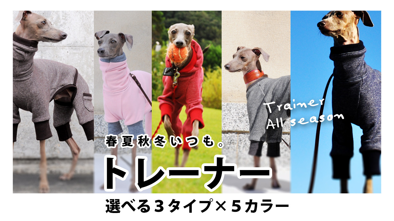 イタグレBuono!も年中着てる「トレーナー」全５色入荷しました！動画公開中「春夏秋冬いつも。トレーナー」