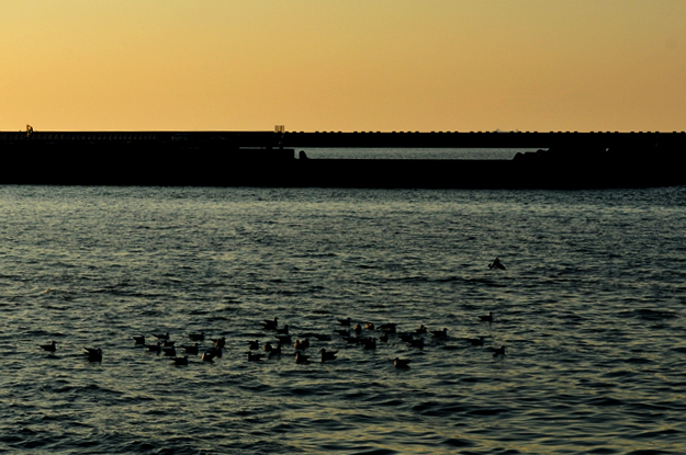 淡路島の夕焼け空の下を散歩すると