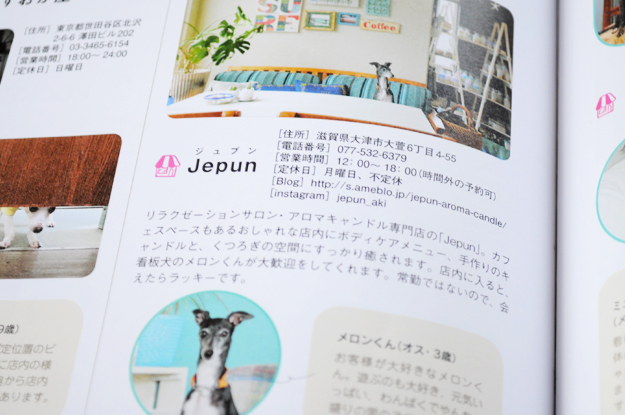 クリスマスの小さな贈り物「愛犬の友｜ウイペット＆イタリアン・グレーハウンド」