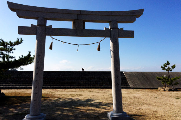 12月1日に感じたこと。「小さな始まり」