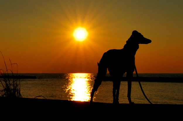 淡路島の夕焼け空の下を散歩すると