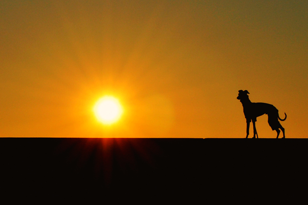 淡路島の夕焼け空の下を散歩すると