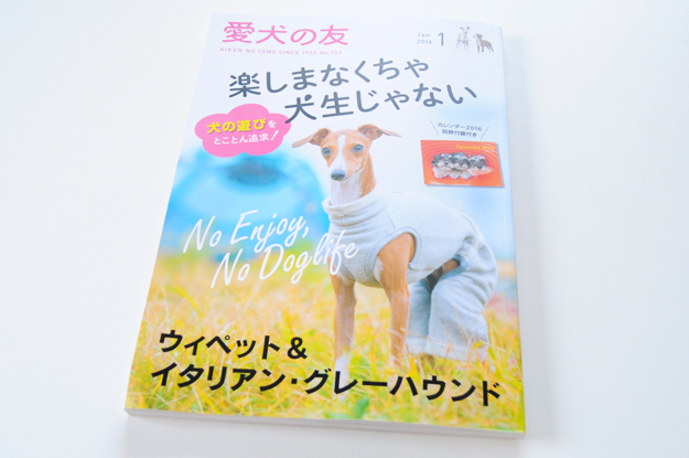 クリスマスの小さな贈り物「愛犬の友｜ウイペット＆イタリアン・グレーハウンド」