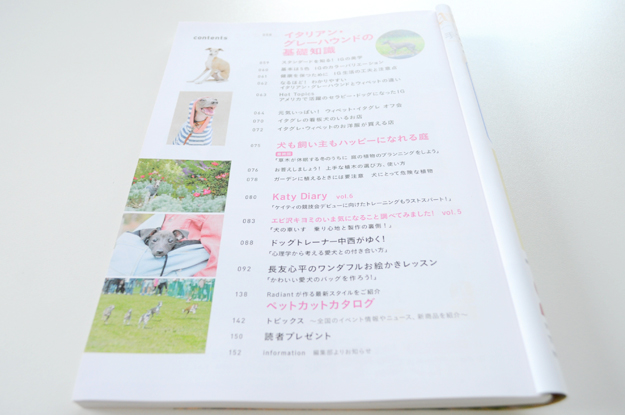 クリスマスの小さな贈り物「愛犬の友｜ウイペット＆イタリアン・グレーハウンド」