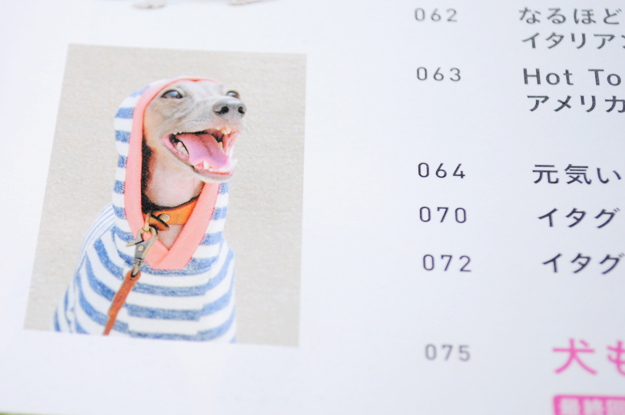 クリスマスの小さな贈り物「愛犬の友｜ウイペット＆イタリアン・グレーハウンド」