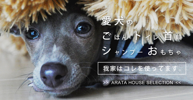ARATA HOUSE SELECTION