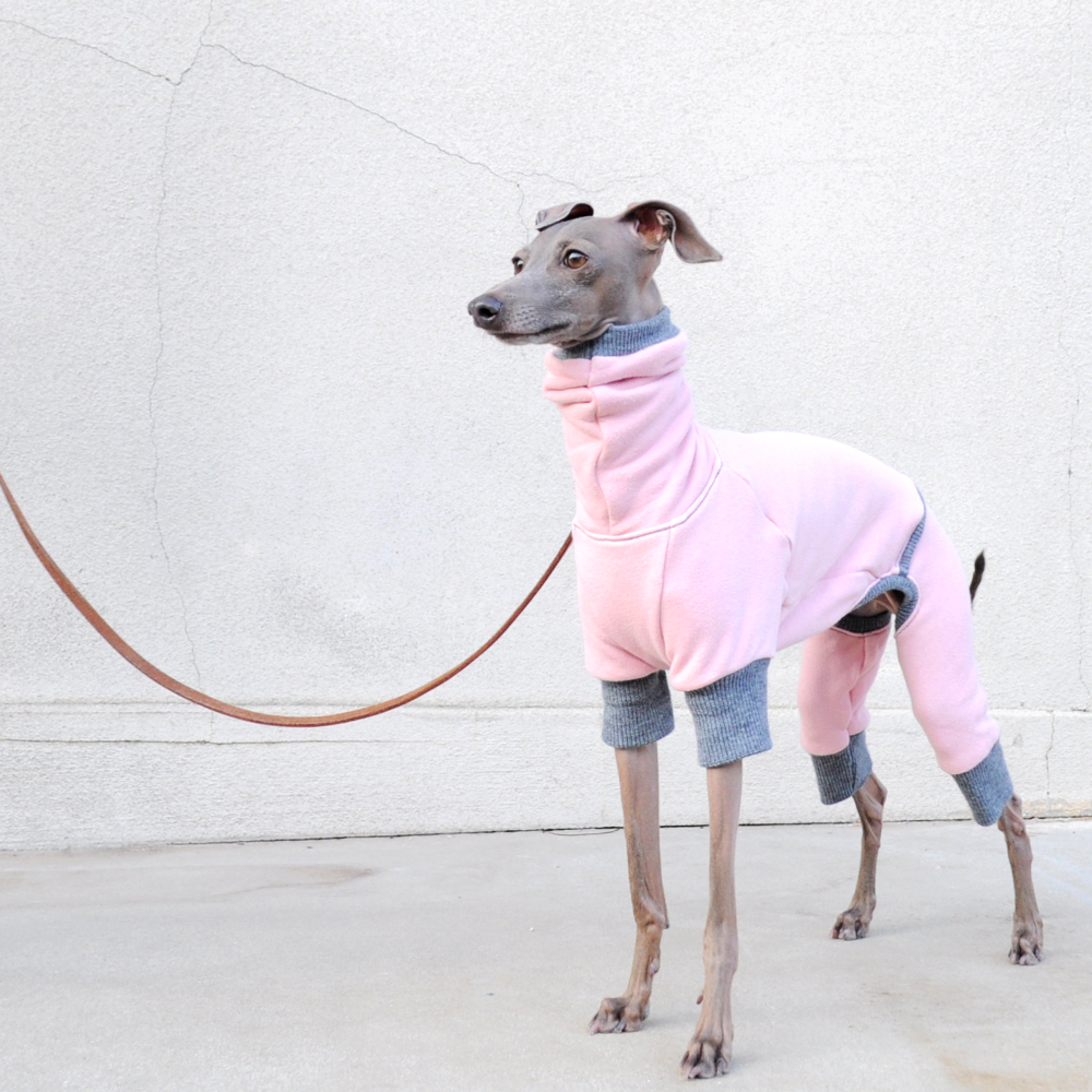 「モデル撮影テクニック」犬服の撮影は「愛犬」の表情に目がいく「壁」を見つけることから始まる。