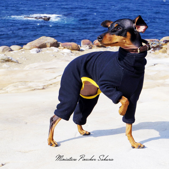 犬服|毛布に包まれたような暖かさと、優しい肌さわり|裏起毛ボンバーヒートニット(保温)|選べる3タイプ×5カラー(パールホワイト/スレートグレイ/プルシアンブルー/マホガニーブラウン/ワインレッド)