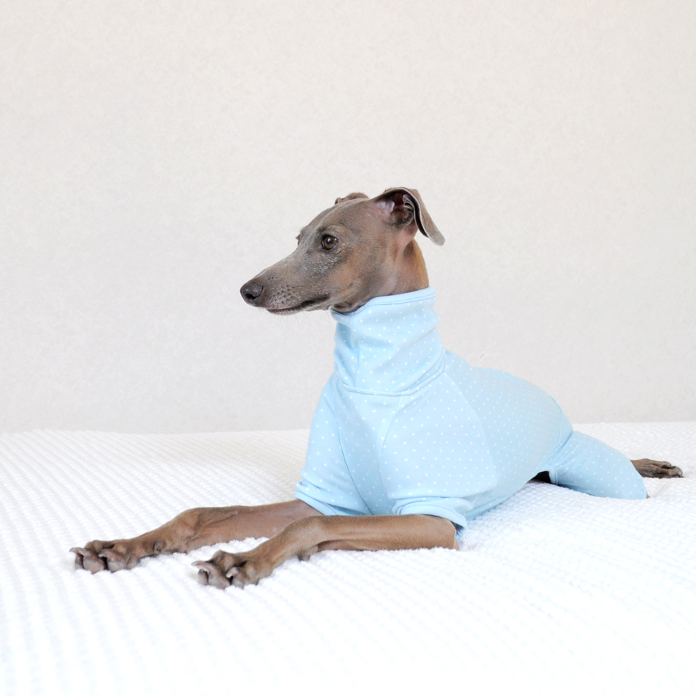 犬服ぱじゃま「小さなまる。」2015年冬の新色登場！なぜ！？ぱじゃまなの？誰も注文しないでしょ！？そんな疑問に勝手に答えます。