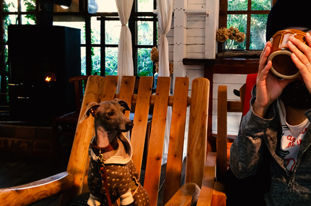 YOSHIE'S COFFEE TIME「食いしん坊の忘れん坊」