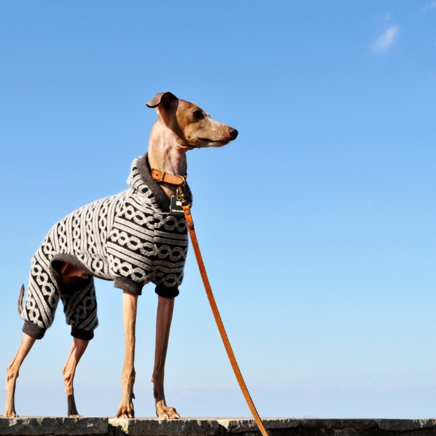 「新年のご挨拶」明けましておめでとうございます。