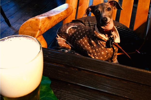 YOSHIE'S COFFEE TIME「食いしん坊の忘れん坊」