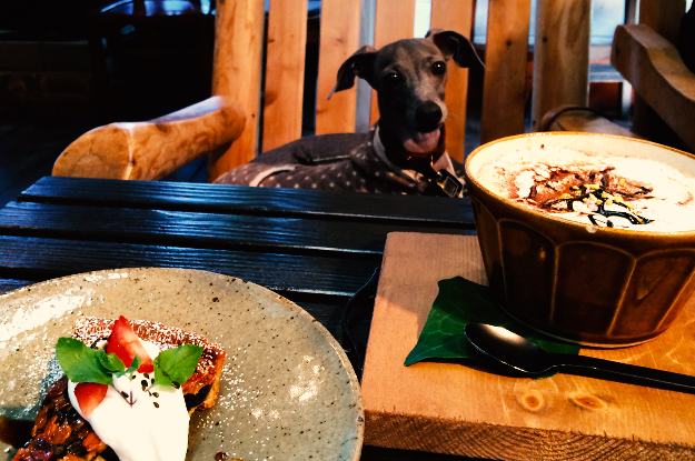 YOSHIE'S COFFEE TIME「食いしん坊の忘れん坊」