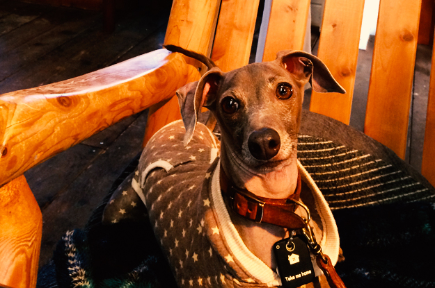 YOSHIE'S COFFEE TIME「食いしん坊の忘れん坊」