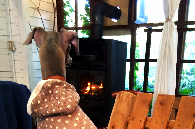 YOSHIE'S COFFEE TIME「食いしん坊の忘れん坊」