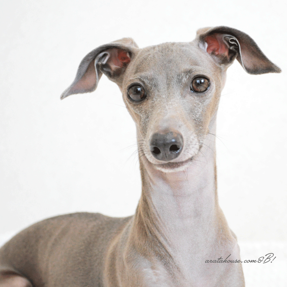 ちょっと息抜き。