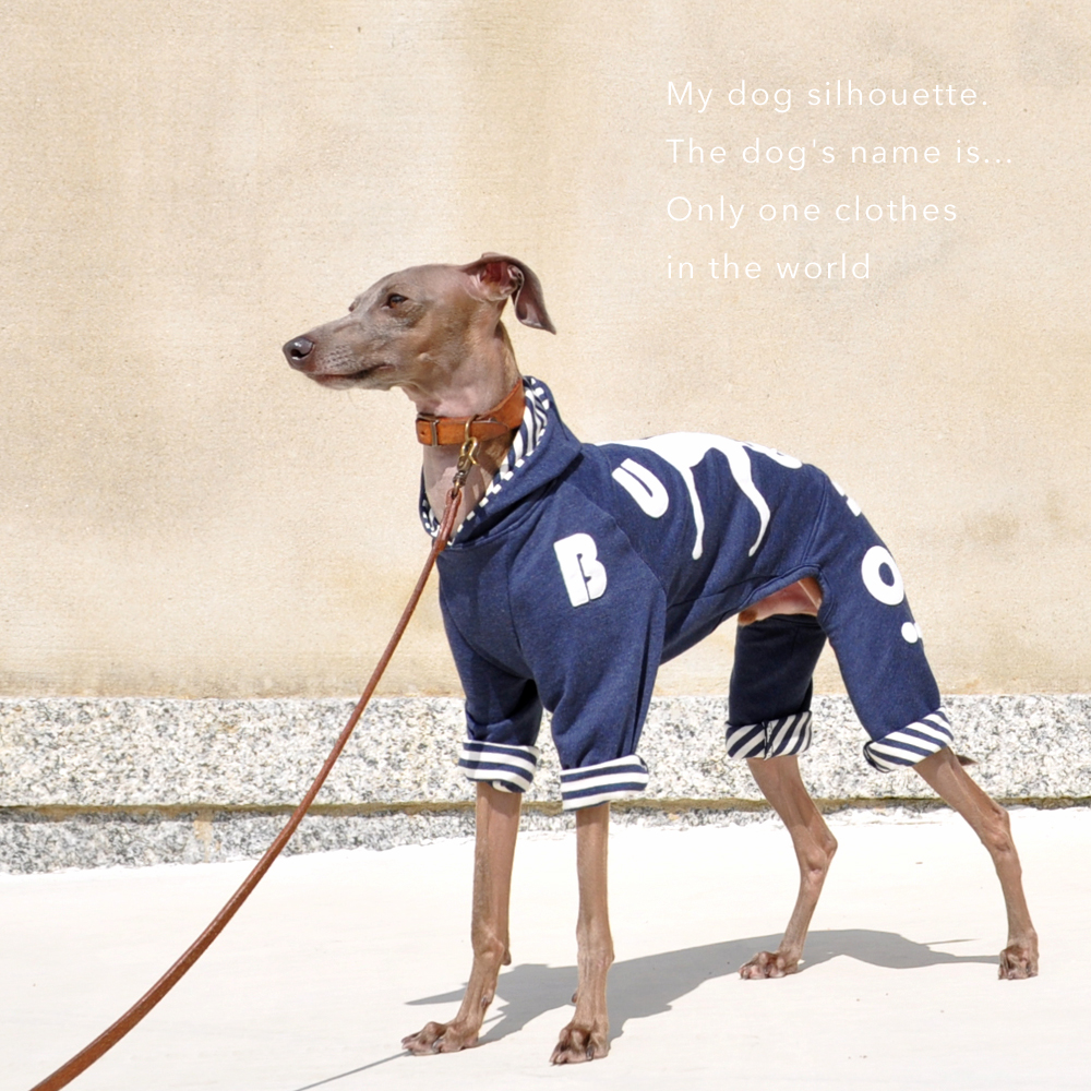 「犬服在庫追加」冬→春のおしゃれを楽しもう♪ボーダー、花柄・・・