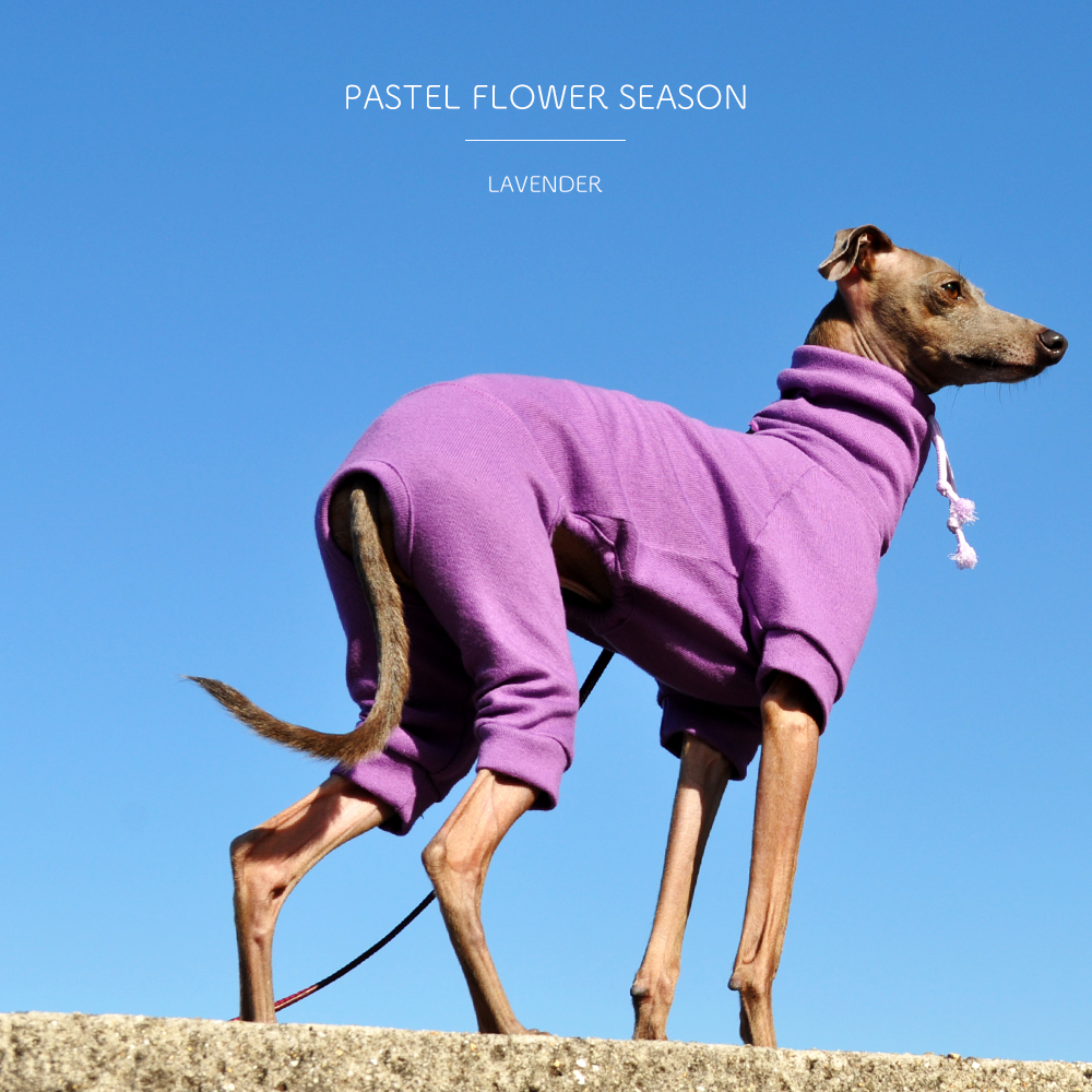 花の香りをまといたい「新作の犬服」PASTEL FLOWER SEASONはお花の色をモチーフにした、とってもシンプルなお洋服