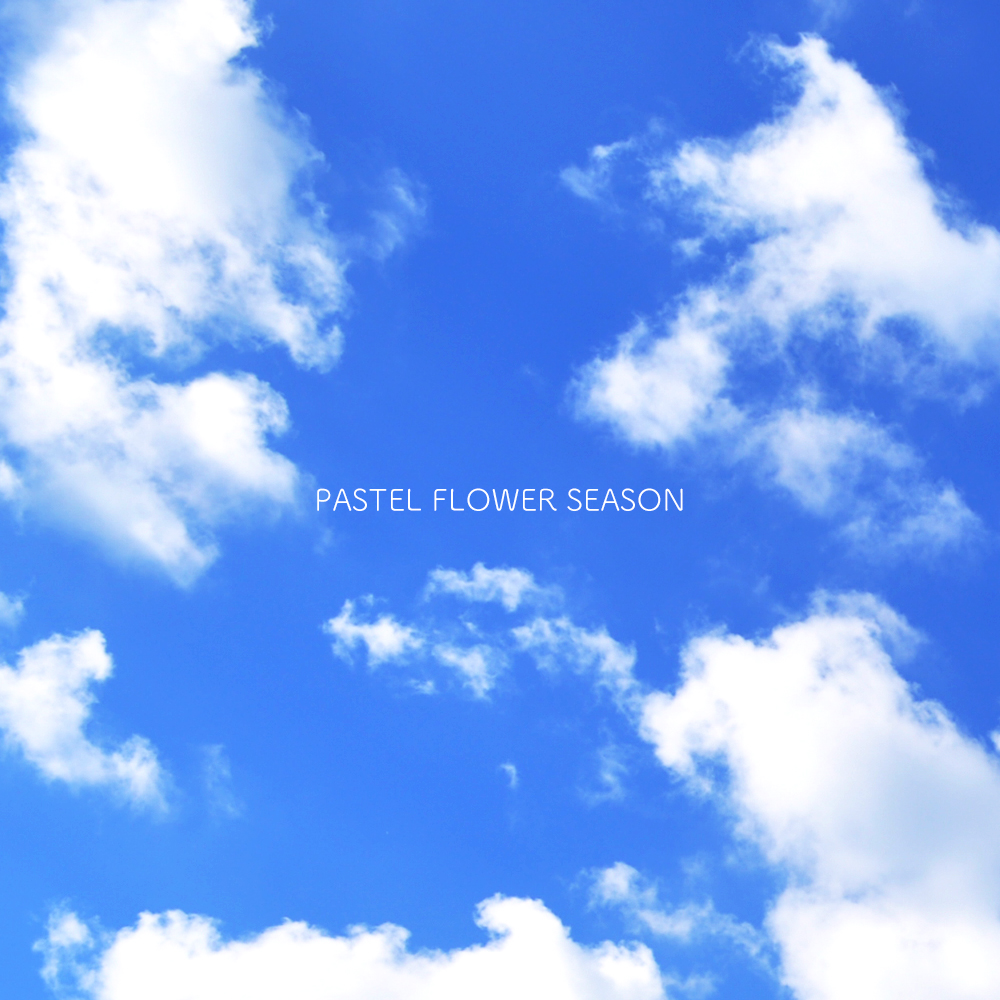 花の香りをまといたい「新作の犬服」PASTEL FLOWER SEASONはお花の色をモチーフにした、とってもシンプルなお洋服