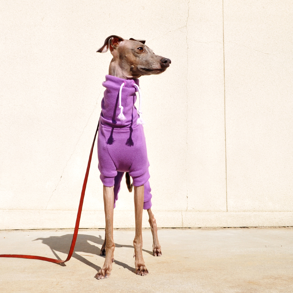 花の香りをまといたい「新作の犬服」PASTEL FLOWER SEASONはお花の色をモチーフにした、とってもシンプルなお洋服