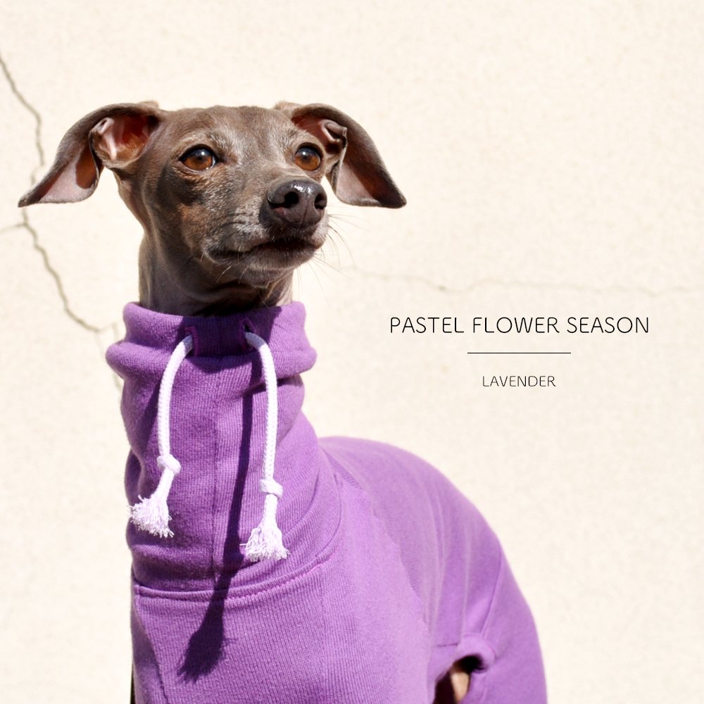花の香りをまといたい「新作の犬服」PASTEL FLOWER SEASONはお花の色をモチーフにした、とってもシンプルなお洋服