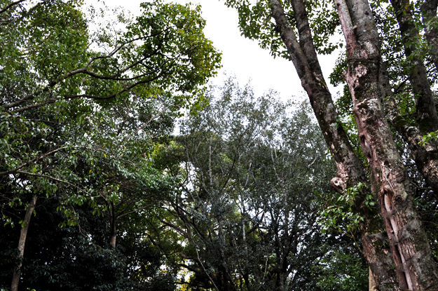 2月1日に感じたこと。「悩んだり、迷ったり、困った時の答え」