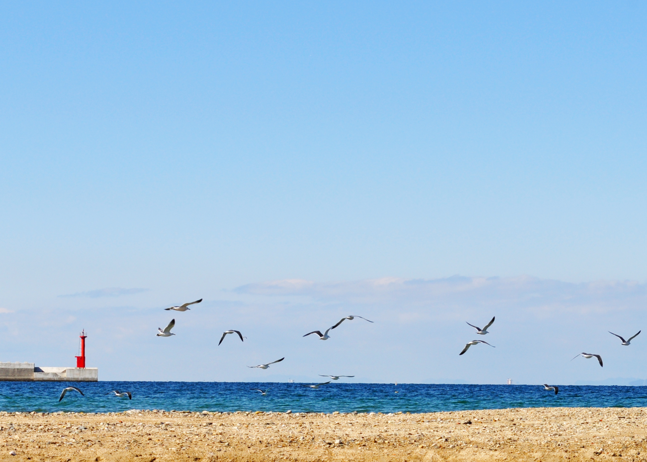 「淡路島の景色」春が近づいてる予感。