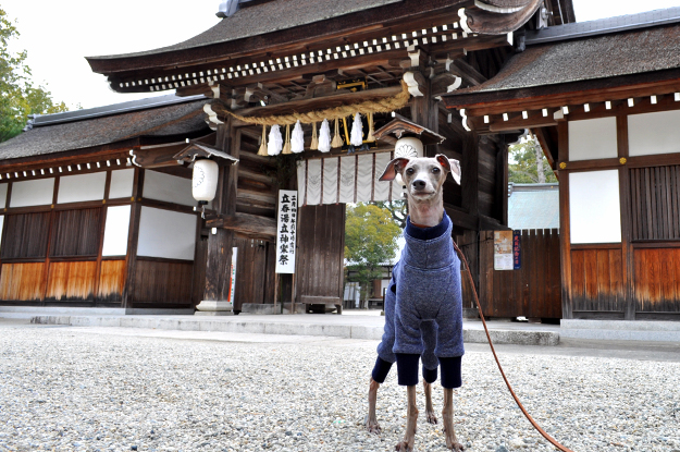 2月1日に感じたこと。「悩んだり、迷ったり、困った時の答え」