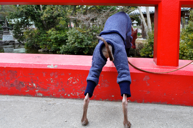 2月1日に感じたこと。「悩んだり、迷ったり、困った時の答え」