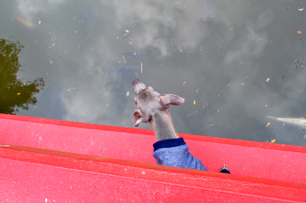 2月1日に感じたこと。「悩んだり、迷ったり、困った時の答え」