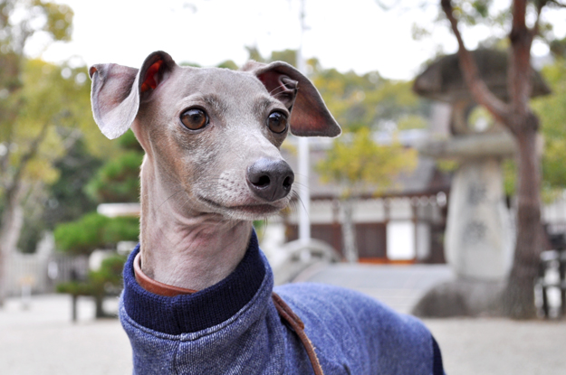 2月1日に感じたこと。「悩んだり、迷ったり、困った時の答え」