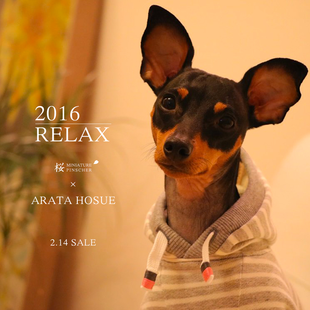 「新作犬服」2月14日発売開始｜2016.RELAX｜MINIATURE PINSCHER 桜 × ARATA HOSUE コラボレーション