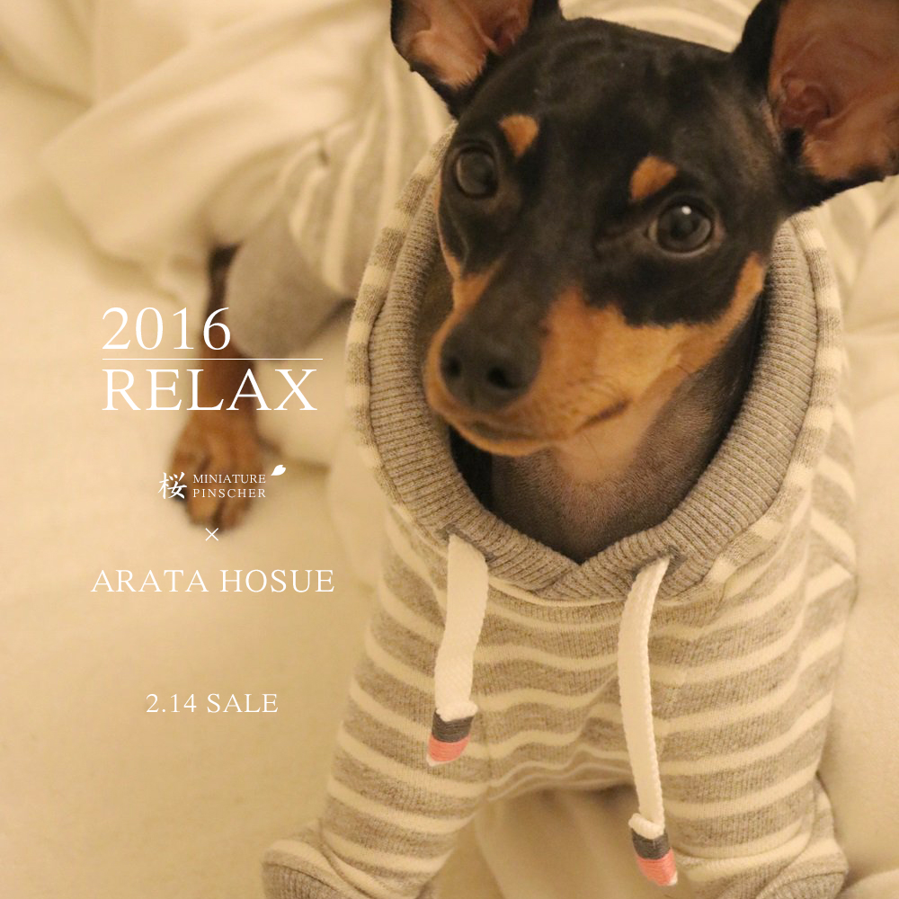 「新作犬服」2月14日発売開始｜2016.RELAX｜MINIATURE PINSCHER 桜 × ARATA HOSUE コラボレーション