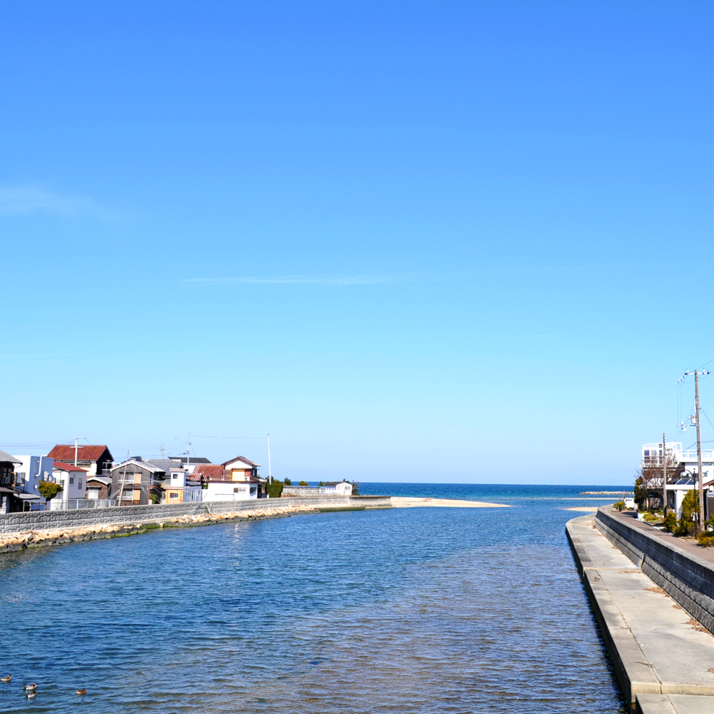 定番のボーダーニットに「2016.新色登場」皆さんの愛犬は何色がお好み？5カラーから選べるお洋服