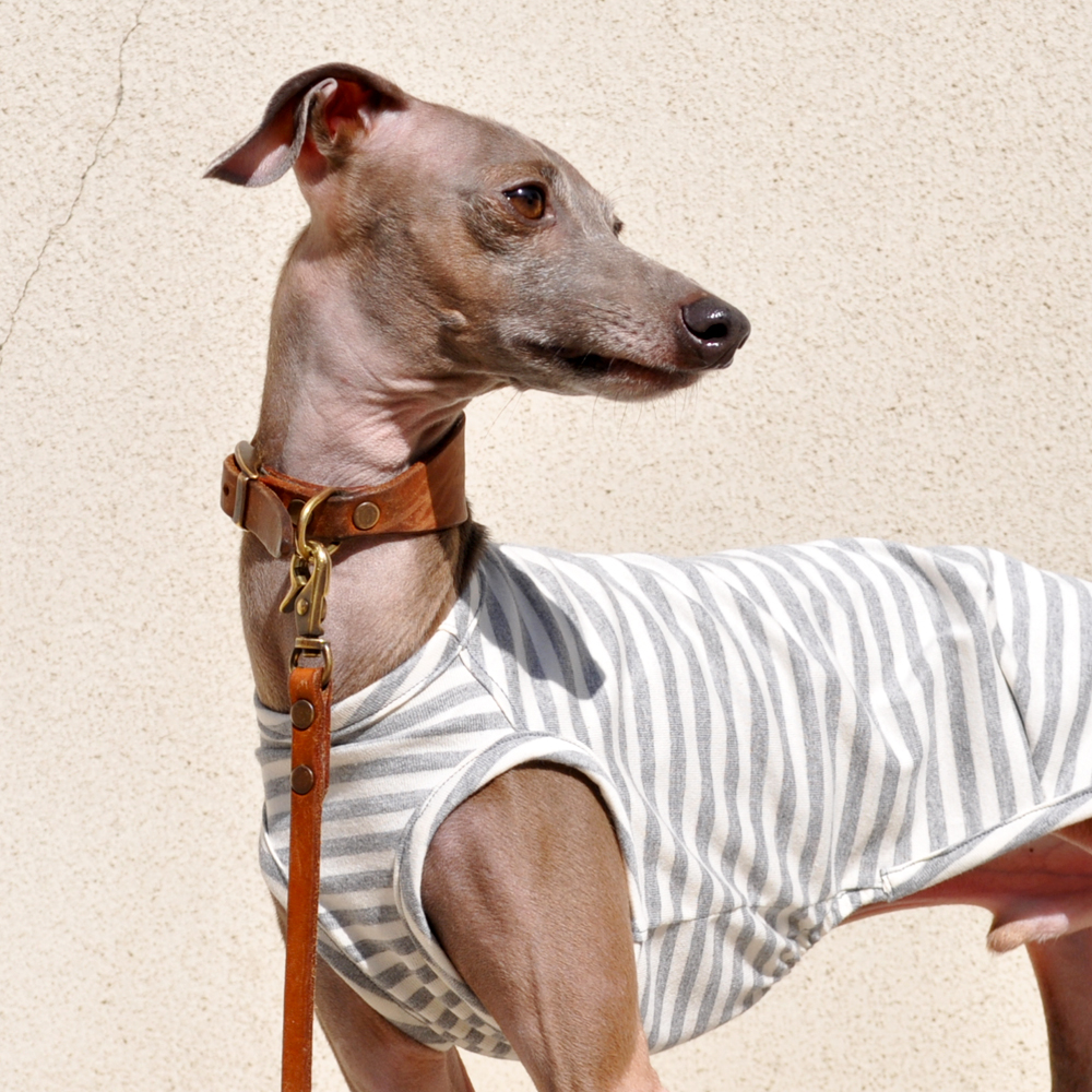 定番のボーダーニットに「2016.新色登場」皆さんの愛犬は何色がお好み？5カラーから選べるお洋服