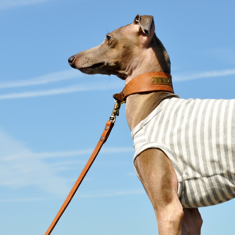 定番のボーダーニットに「2016.新色登場」皆さんの愛犬は何色がお好み?5カラーから選べるお洋服