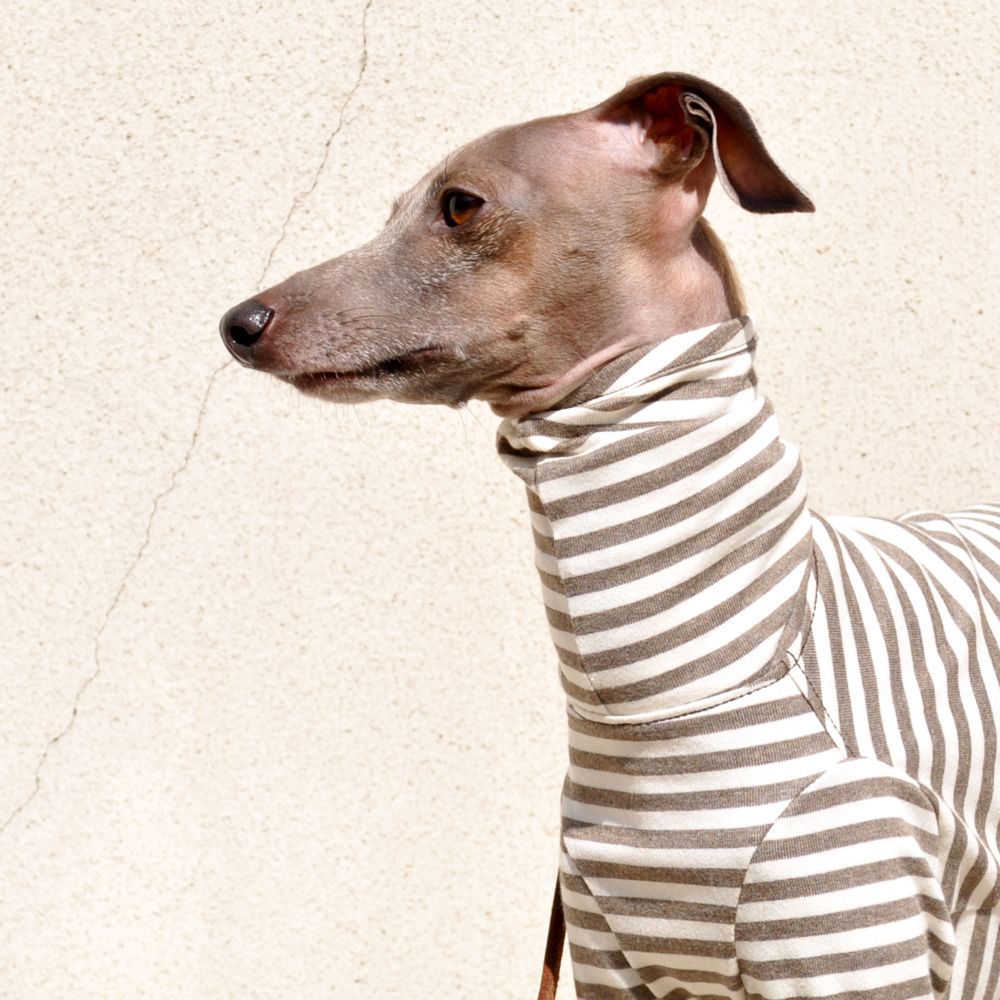 定番のボーダーニットに「2016.新色登場」皆さんの愛犬は何色がお好み？5カラーから選べるお洋服