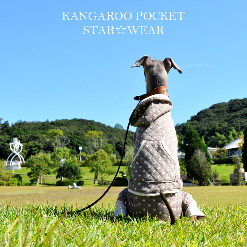 「犬服新色登場」一番シンプルな配色と、個性的な配色|カンガルーポケットのスター☆ウエア