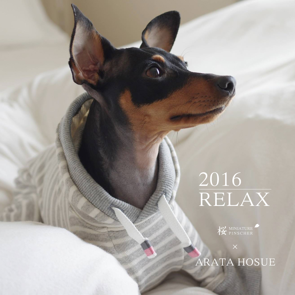 「発売開始」優しさに溢れる写真を見てください。|2016.RELAX|MINIATURE PINSCHER 桜 × ARATA HOSUE コラボレーション