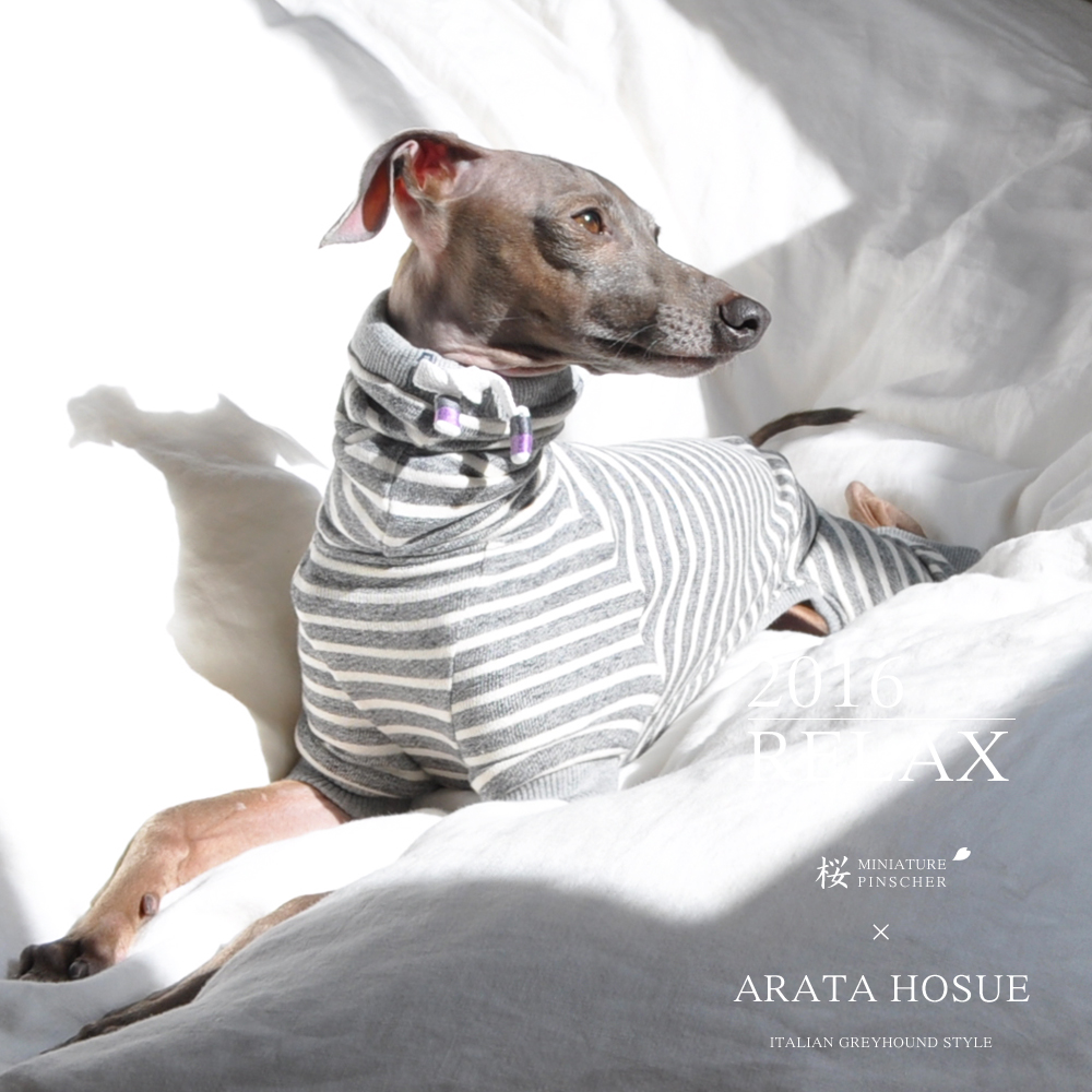 "RELAX" ITALIAN GREYHOUND STYLE