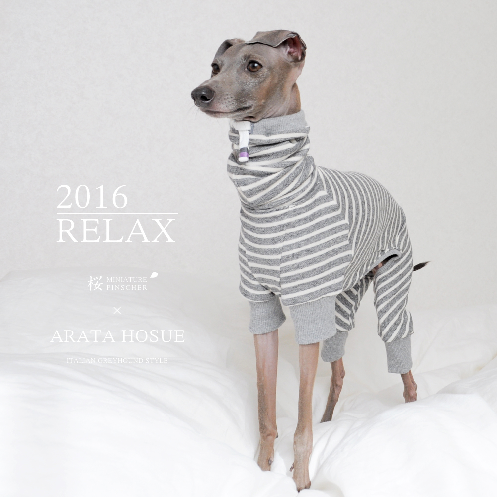 "RELAX" ITALIAN GREYHOUND STYLE