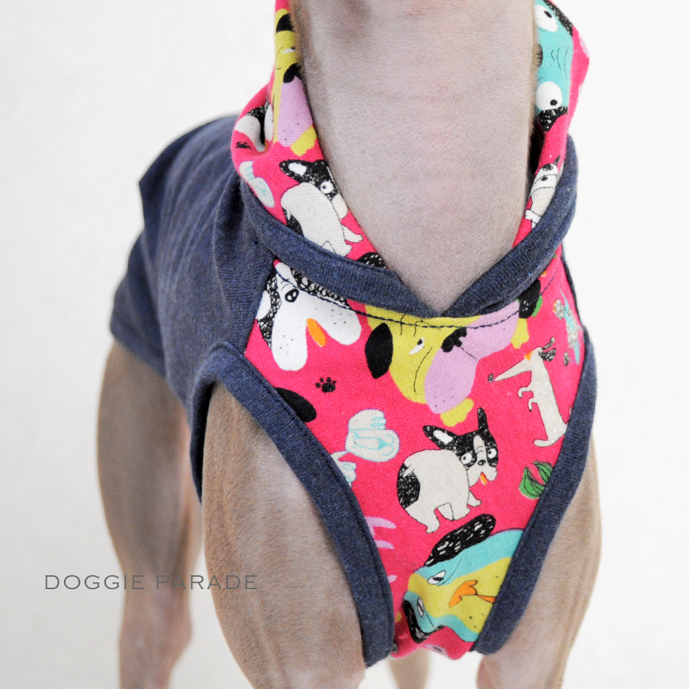 「新作犬服」春らしく明るく楽しくいこうよ！色々なワンちゃんが登場「わんわんパレード」